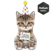 [GRABO] 은박헬륨 생일캣 41인치