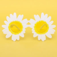 데이지안경