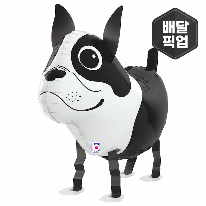 [GRABO] 헬륨 워킹벌룬 보스턴테리어 [차량배달/매장픽업]
