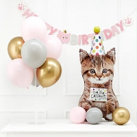 풍선스탠드 생일패키지 [생일캣]