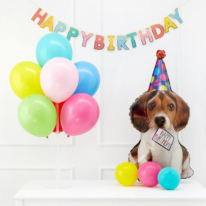 풍선스탠드 생일패키지 [생일퍼피]