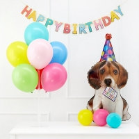 풍선스탠드 생일패키지 [생일퍼피]